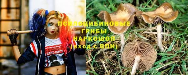 apvp Медногорск