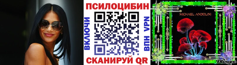 Псилоцибиновые грибы мицелий Нерехта