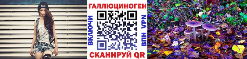 Псилоцибиновые грибы Psilocybine cubensis  Нерехта 